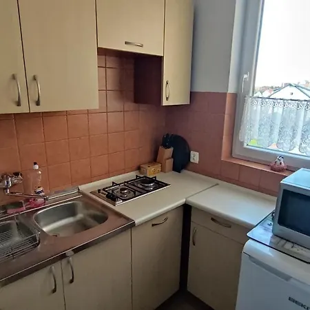 Проживание в семье Sylgaf